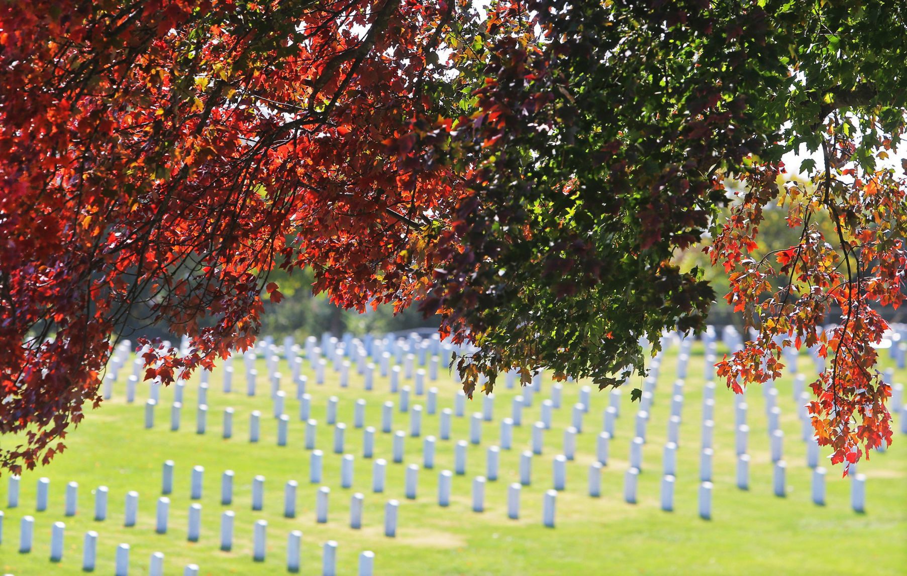 Fall Arrives in the St. Louis region